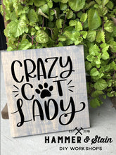 10/28/2023 - SCARF FUNDRAISER - 2PM
