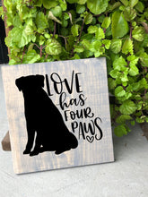 10/28/2023 - SCARF FUNDRAISER - 2PM