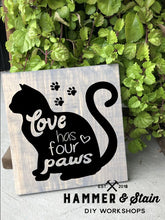 10/28/2023 - SCARF FUNDRAISER - 2PM