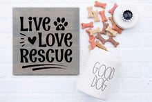 10/28/2023 - SCARF FUNDRAISER - 2PM